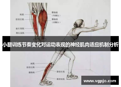 小腿训练节奏变化对运动表现的神经肌肉适应机制分析